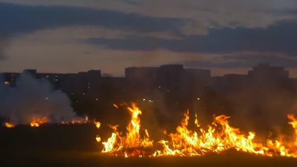 Smugi Ognia Polu Ciemności Równoległe Pasma Ognia Obrzeżach Miasta Wieczorem — Wideo stockowe