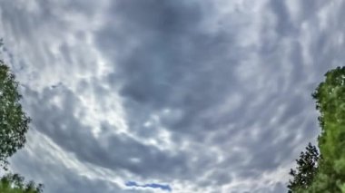 Tavşan Hole Planet 360 Derece Park Bridge Lovers Bridge Kiev Sights Turizm Cityscape Cloudscape Gri Gökyüzü Yeşil Taze Ağaçlar Yevhen Paton Köprüsü Bulutlu Gün