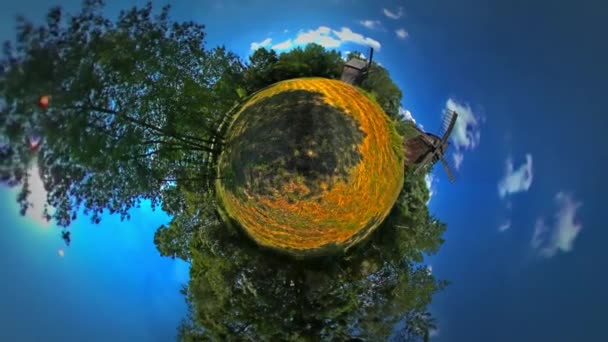 Petite planète minuscule Champ à 360 degrés Moulin à tiges sèches sur le terrain Paysage rural d'Opole Journée ensoleillée Ciel bleu Arbres verts Tour à Opole Tourisme en Pologne — Video