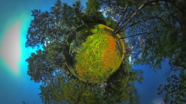 Kleiner winziger Planet 360 Grad alte Holzhäuser zwischen den Bäumen ländliche Opollandschaft sonniger Tag blauer Himmel grüne Bäume Tour nach Opole Tourismus in Polen — Stockvideo