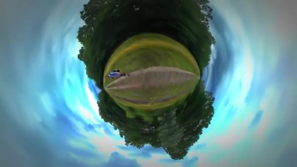 小さな小さな惑星の 360 度観光による歩行は、オポーレ森の小道ウッドランドは、旅行暖かい秋の日曇り空のツアー オポーレに — ストック動画