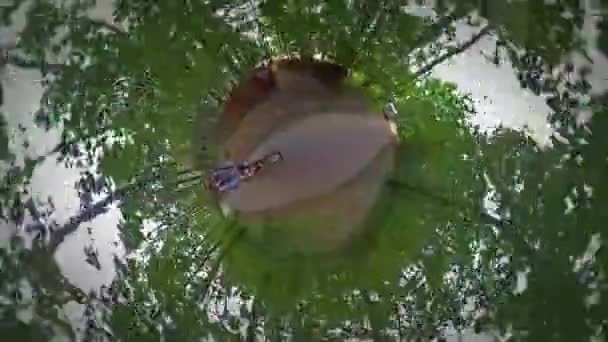 Kleiner winziger Planet 360-Grad-Radler auf dem Fahrrad auf der Straße entlang Dorfhäuser Bäume Backpacker ist Herbst bewölkten Tag Park-Tour nach Opole unterwegs — Stockvideo