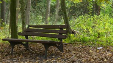 Tezgah kırık Park sonbahar manzara modunda düşen yapraklar yeşil dallar eski terk edilmiş ahşap koltuk ağaçların dalları yalnızlık yalnızlık rekreasyon sallanan