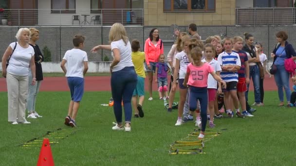 Teachers Are Engaged in Training of Their Pupils — Stock video