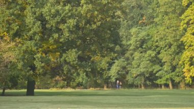 Eylül ayında bir şehir parkında başında sonbahar, çayır ve eski büyük Oaks, insanlar çekip