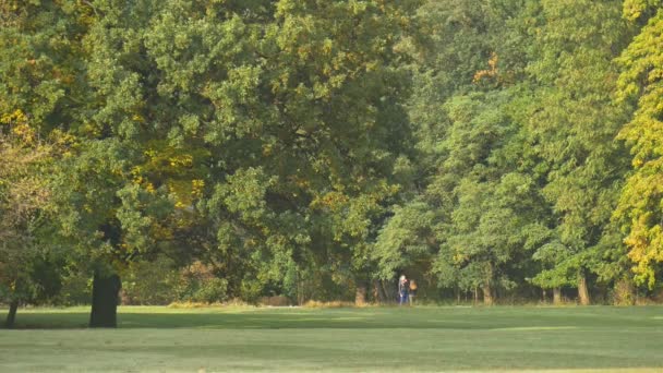 In un parco cittadino nel mese di settembre, Inizio autunno, Prato e vecchie grandi querce, Persone che camminano lontano — Video Stock