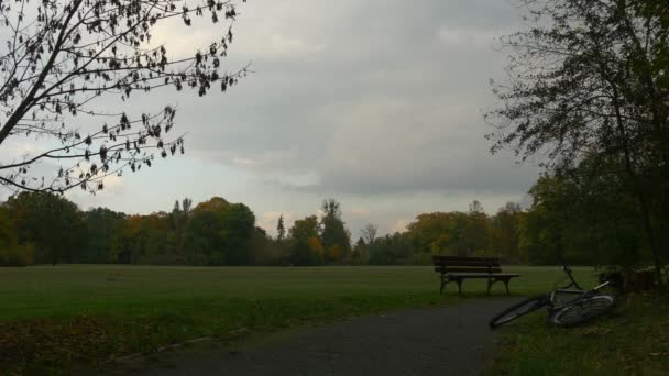 Ciclista leva sua bicicleta e andando longe silhueta banco de madeira no beco do parque no dia nublado turista na natureza paisagem outono deixa em um gramado — Vídeo de Stock