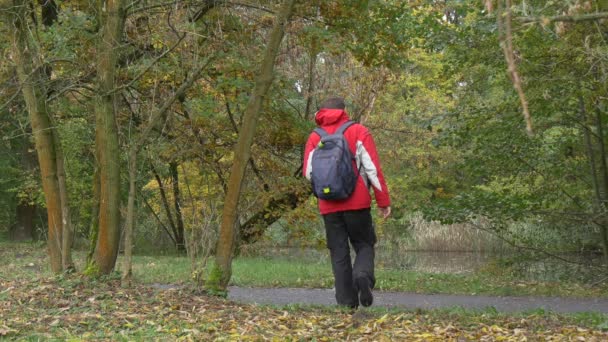 男人背着背包在秋天的公园散步 — 图库视频影像