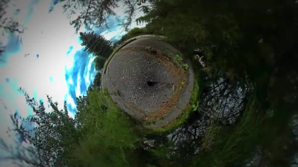 小さな小さな惑星 360 度広場公園男はオポーレ緑木モミの木夏曇り日 Touism オポーレのアスファルトで舗装される場所観光客による歩行 — ストック動画