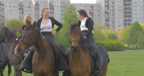 Opole Poland May 2016 Participants Show Horses Green Glade High — Stock Video