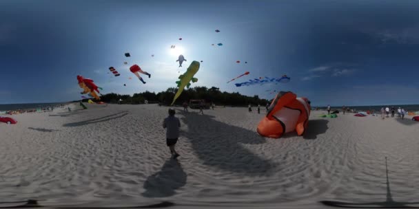 360vr wideo latawce Festiwal Leba Clownfish kształt latawca krokodyla Dragon kształtuje Latawce są ludzkie nogi kształt latawca zabawki latające rodzin na piaszczystej plaży Morza — Wideo stockowe