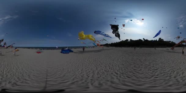 Vídeo 360Vr Pessoas no Festival de pipas Leba Polônia Forma de gato Kite Fish Shape Kites Crianças Pais passam tempo na praia arenosa do mar Fly Animal Shape Kites — Vídeo de Stock