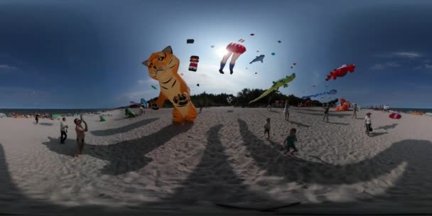 360vr Video mensen aan Kites Festival Leba Man vliegt Tiger vorm Kite krokodil Kite benen vorm vlieger vliegen gezinnen besteden tijd aan het zandstrand van zee — Stockvideo