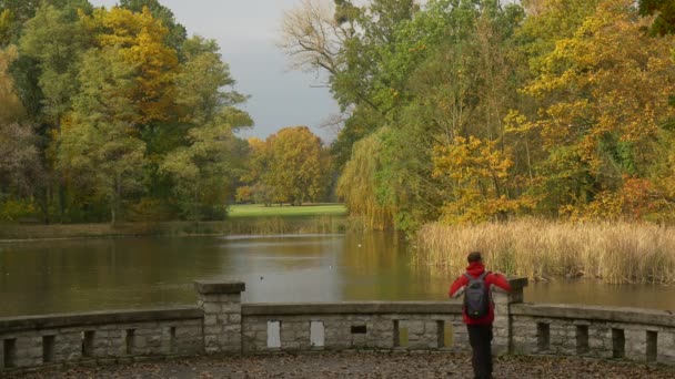 Tourist Comes pose son sac à dos dans le parc sur le pont d'observation par temps nuageux Beau paysage d'automne Arbres dorés Lumière du soleil Sec Ondulation des roseaux sur le lac — Video