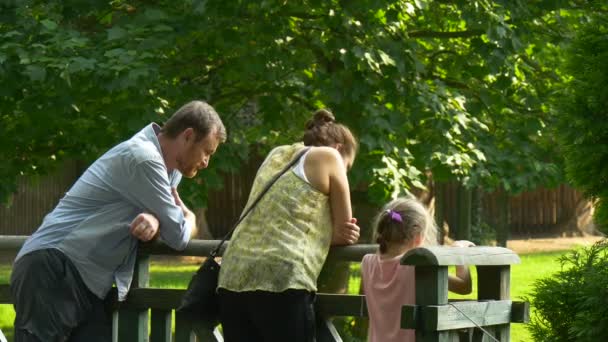 Homem de barba vermelha, uma jovem mulher e sua filha caminham em um zoológico da cidade — Vídeo de Stock