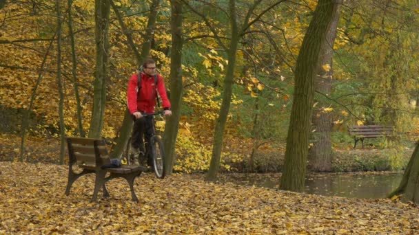 Велосипедист садится на скамейку запасных осенью и отдыхает среди золотых деревьев в парке у озера Сурфаза покрыта желтыми листьями — стоковое видео