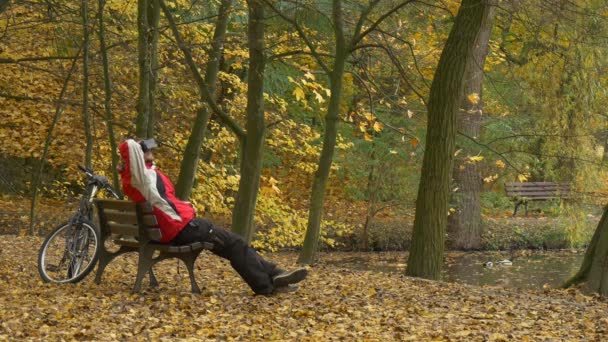 Человек в 360Vr очки на скамейке наклонился назад в парке, смотря видео 360 градусов, играя в игры снимает наушники и глядя на осенние желтые листья пейзажа — стоковое видео