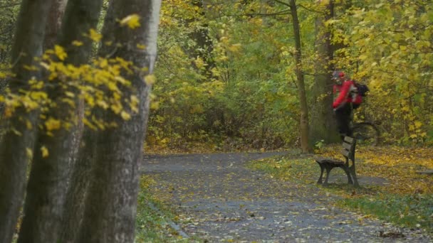 男は地面にある時間の残り路地秋日サイクリストを費やしている公園の黄色葉の自然黄金木に自転車ベンチ停止に乗ってください。 — ストック動画