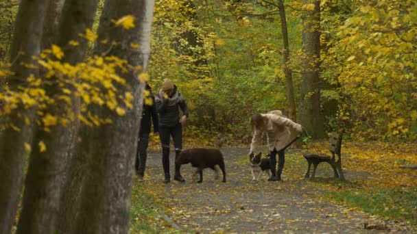 Анімація день Ополе молоді люди ходьби з собаками, відпочиваючи осінній вихідні лавці в алеї парку Голден жовті листя на Землі рекреаційного в похмурий день — стокове відео
