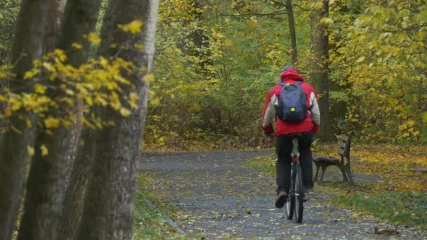 Homme chevauchant un vélo à l'extérieur Jour d'automne dans Park Alley Cycliste se repose parmi les arbres dorés Banc terrain est recouvert de feuilles jaunes Banc au sentier — Video