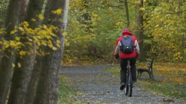 Tourist in Earflaps is Riding a Bicycle Away in Park Alley, Golden Autumn Landscape, Yellow Leaves Cover the Ground. Cyclist, Sportsman is Resting on the Weekends. Bench at the Foootpath. Recreation