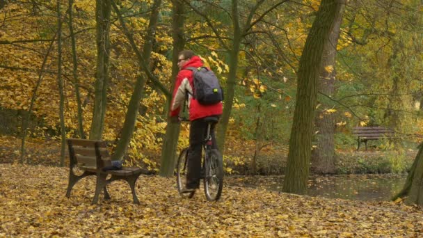 国際アニメーション ・ デー オポーレ公園カップルは、犬男とウォーキングで自然の黄色葉で休んで路地秋の日 Reople で自転車に乗っています — ストック動画