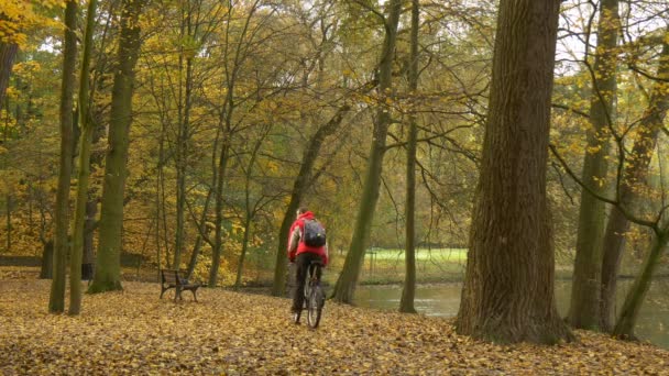 Man is een fiets door Bench in Alley herfst landschap wielrenner besteedt tijd aan de natuur gouden bomen in Park gele bladeren Lake River kabbelend Water — Stockvideo