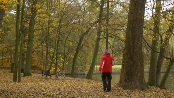 Hombre caminando hacia el banco Mochila y bicicleta Descansando mirando el lago Día de Otoño Ciclista pasa tiempo en la naturaleza Los árboles de oro en el parque Hojas amarillas — Vídeos de Stock