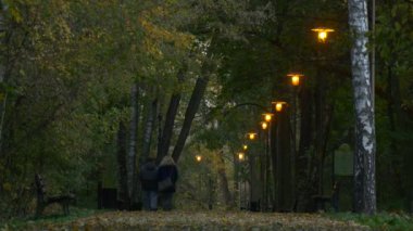 Çift yürüyüş sonbahar akşam lambaları kızdırma banklar boyunca patika Park sokak adam ve kadın harcamak zaman birlikte altın sarı yaprakları Birches Dusk olduğunu