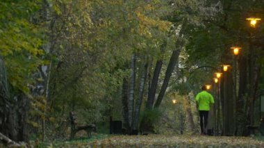 Sporcu doğa altın sarı yaprakları banklar boyunca patika sokak sonbahar akşam lambaları kızdırma adam Bright limon ceket vardır spor tarafından çalışıyor