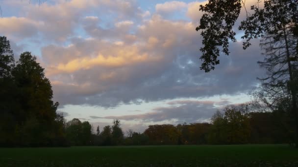 Siluetas de Paisaje Vespertino al Atardecer Lits the Clouds Green Lawn Trees Park Otoño Otoño Amarillo y Azul Pastel Colores del Cielo Nubes Flotan — Vídeos de Stock