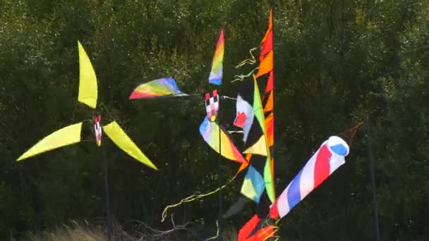 Cerfs-volants Moulins à vent Drapeaux Entonnoir Balançant au festival des cerfs-volants Leba Pologne Les gens vont voler cerfs-volants Les gens passent du temps sur le littoral Journée ensoleillée Arbres verts — Video