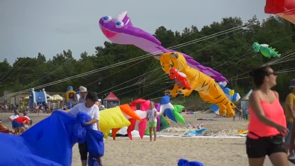 Lidé na draky festivalu Łeba Polsko barevné draky ryb Tiger tvary draků se kýval pevné na lana lidé létat draky rodin na Sandy Beach Sunny — Stock video