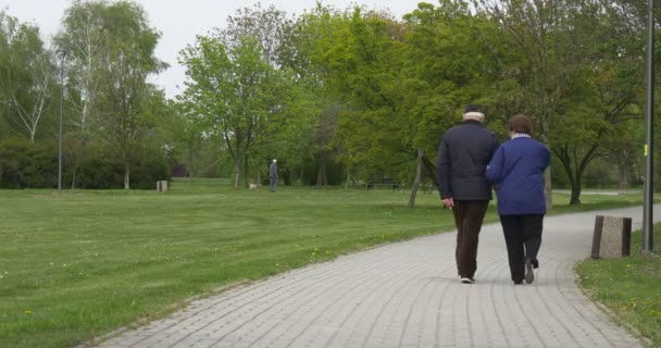 Літня пара йде рукою в руку — стокове відео