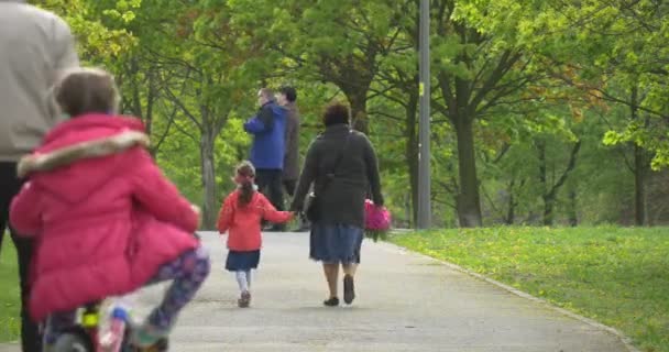 公園ですべての年齢層の人々. — ストック動画