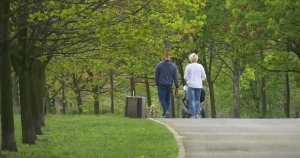 Vy från baksidan till Man och kvinna med en barnvagn. — Stockvideo