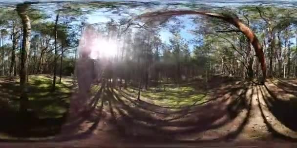 360vr 비디오 남자 걷는 가운데 나무 촬영 공원 관광 복용 비디오 Spends 연 축제 Leba 화창한 날이을에 자연에서 주말입니다. — 비디오