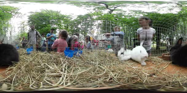 360vr hayvan sergi Opole Hayvanat Bahçesi tavşan bıyık kamera ebeveynler ve çocuklar içine Video ailelere merakla kafesleri gezi açık havada arıyoruz — Stok video