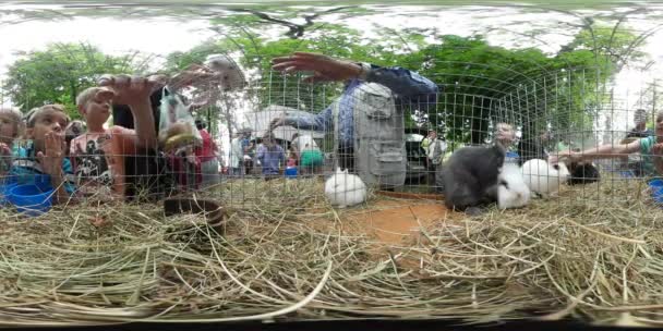 360vr відео діти розважаються у Ополе зоопарк кроликів виставка батьки і діти розглядаєте цікавістю годування тварин в клітках екскурсії на відкритому повітрі — стокове відео