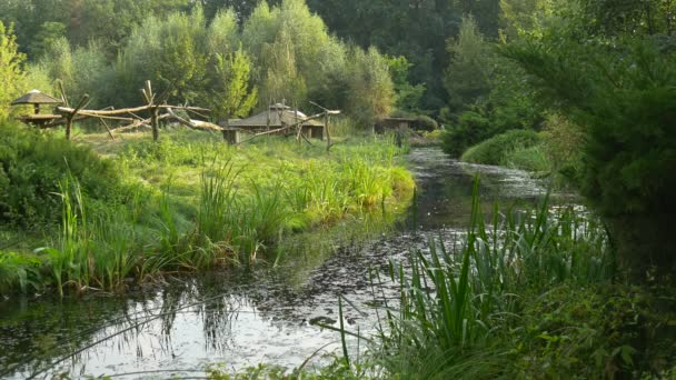 Ein kleiner Fluss befindet sich im Zentrum des Stadtparks — Stockvideo