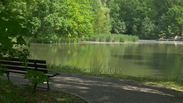 Banco de madera junto al lago en el parque Árboles verdes frescos Día de verano soleado Pequeño muelle de madera al otro lado del estanque Reed Turismo de agua lisa en Polonia — Vídeos de Stock