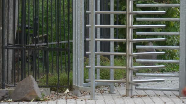 Meisje loopt in de buurt van een hoge metalen hek — Stockvideo