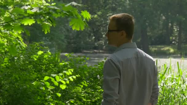 Toerist die zich onder de Maple weelderige struiken rusten in Park rondkijken geïnspireerd toeristische groene bomen versheid zonlicht Man besteedt weekend in het voorjaar — Stockvideo