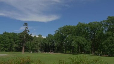 Çim Moszna Castle Park gezi eğitim geçmişi güneşli bir günde dinlenme yeşil çayır mavi gökyüzü güçlü yüksek ağaçlar turist vardır yakınındaki insanlar yürümek