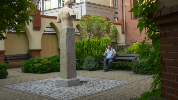 高大的石头雕像是在绿区中心 — 图库视频影像