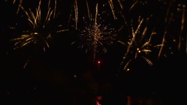 La gente arroja un paquete de fuegos artificiales al río — Vídeo de stock