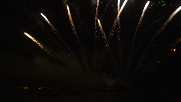 Fireworks Sparks Shooting Flying Sky Forming Complicated Patterns Inglés Mostrar — Vídeo de stock
