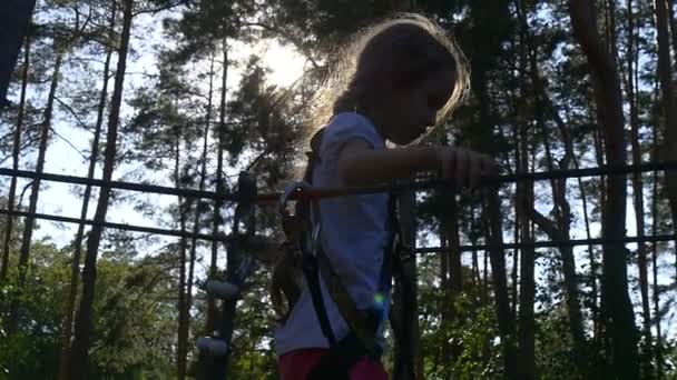 Os pais resultaram em seu filho em um parque de cordas — Vídeo de Stock