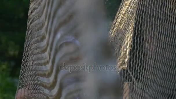 Blondes Schulmädchen steckt in einem Fischernetz fest — Stockvideo
