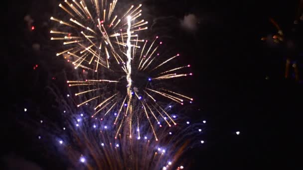 Chispas azules están disparando y volando en el cielo Gran fuegos artificiales Gran pirotecnia Mostrar luz de ruido y celebración del humo en gran escala Noche romántica — Vídeos de Stock